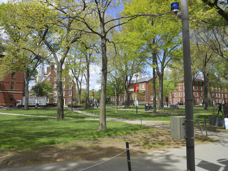 boston 001