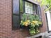 boston 015
